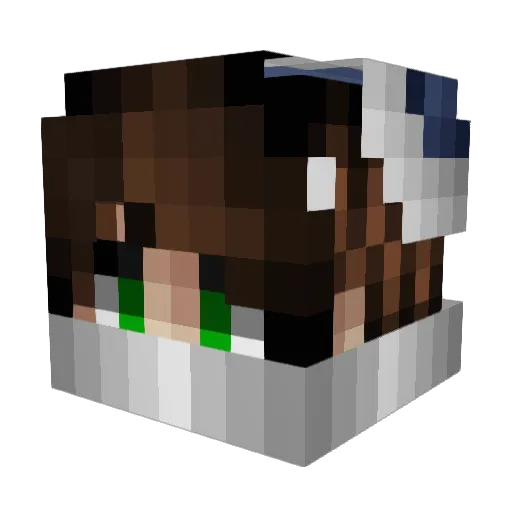 rfwx Minecraft avatar head, 3D render