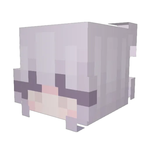 rgapq Minecraft avatar head, 3D render