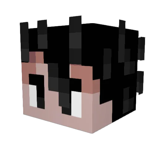 rgohanp Minecraft avatar head, 3D render