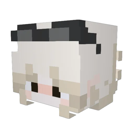 rhaastie Minecraft avatar head, 3D render