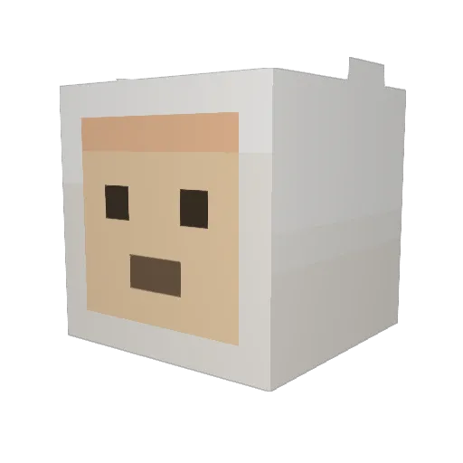 rhar117 Minecraft avatar head, 3D render