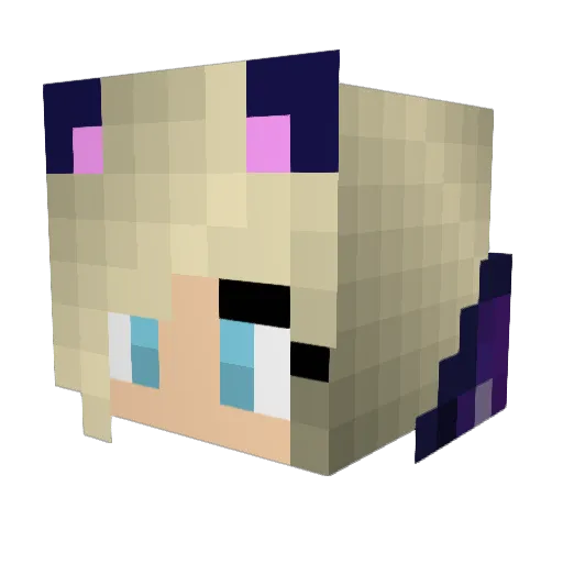 rheannachugani Minecraft avatar head, 3D render