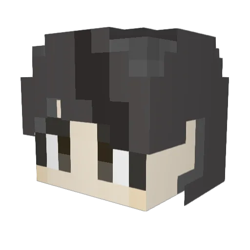 rhemddj3025 Minecraft avatar head, 3D render