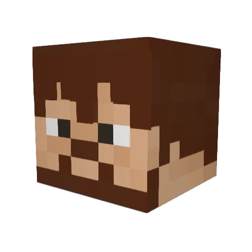 rhfree98 Minecraft avatar head, 3D render