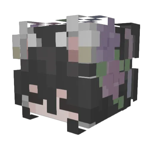 rhianxc Minecraft avatar head, 3D render