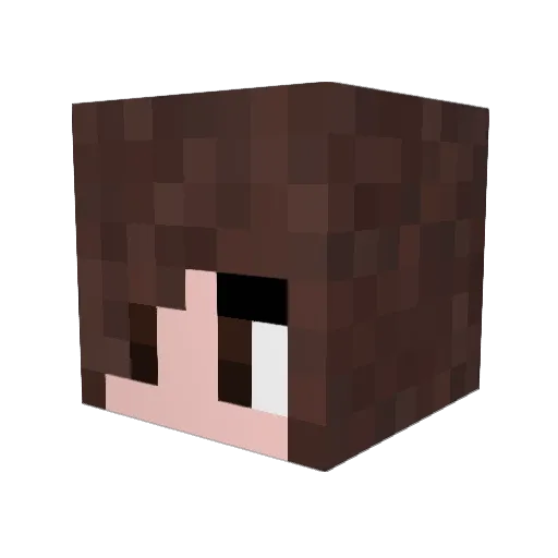 rhiarandom Minecraft avatar head, 3D render
