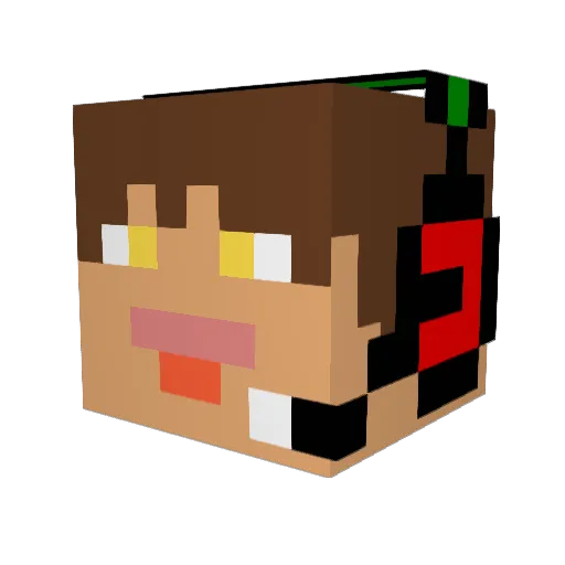 rhinokiller9 Minecraft avatar head, 3D render
