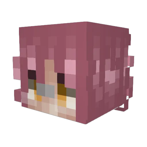 rhitzy Minecraft avatar head, 3D render