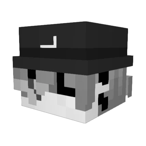 rhuanzzx Minecraft avatar head, 3D render