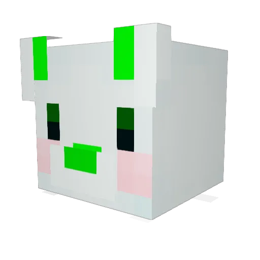 rhxodus32132 Minecraft avatar head, 3D render