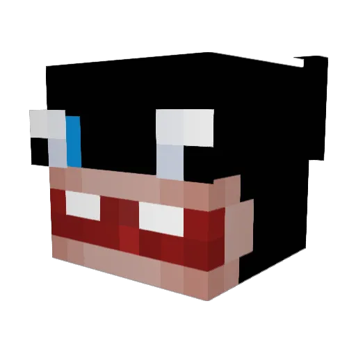 rhys222 Minecraft avatar head, 3D render