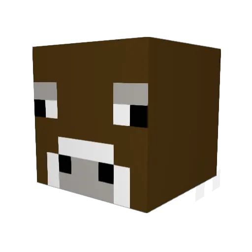 rhysmiller Minecraft avatar head, 3D render