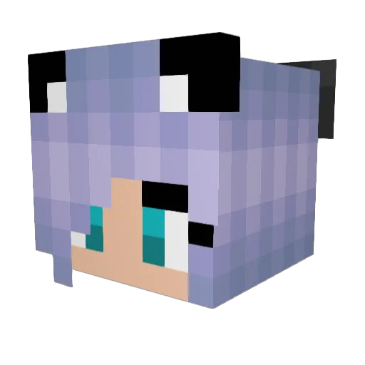 rhysrooster Minecraft avatar head, 3D render