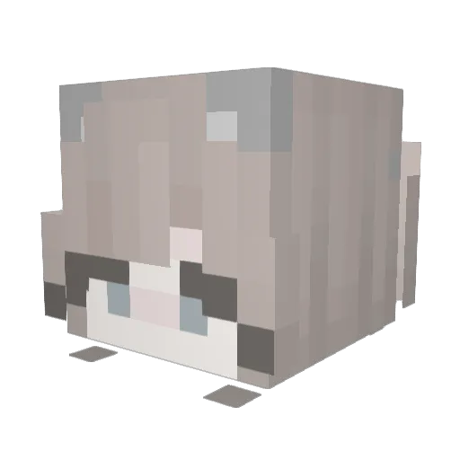 ri14akkum4 Minecraft avatar head, 3D render