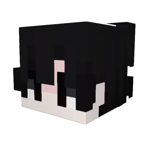 ri1se Minecraft avatar head, 3D render