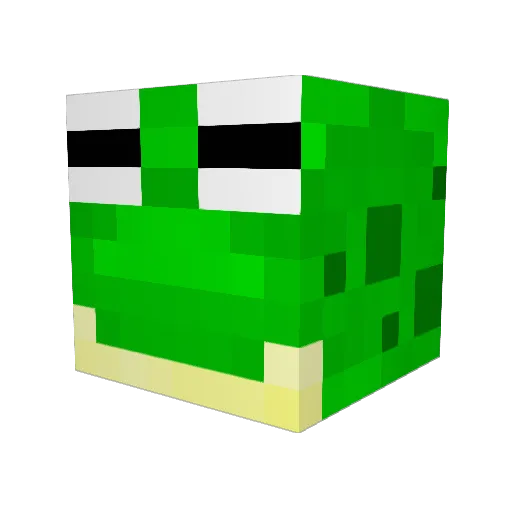 riKw11 Minecraft avatar head, 3D render