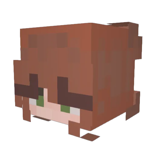 riaa_m Minecraft avatar head, 3D render