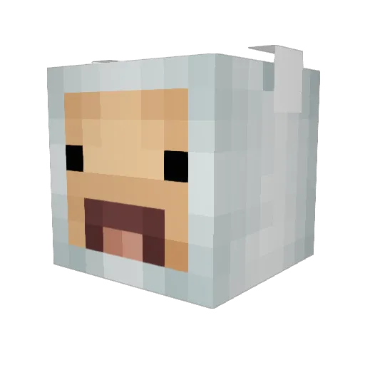 riacc Minecraft avatar head, 3D render