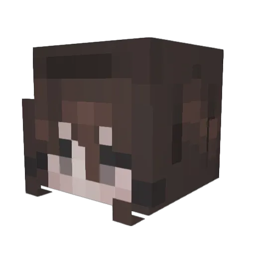 riaeh Minecraft avatar head, 3D render