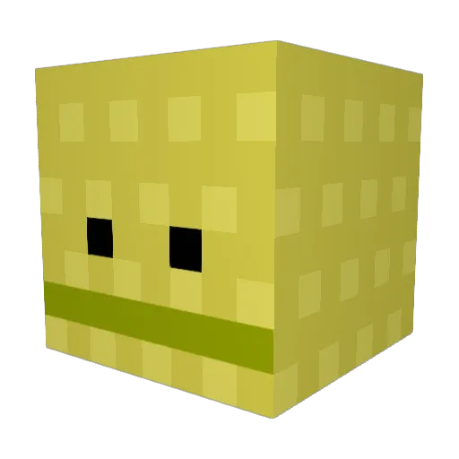 rianna8D Minecraft avatar head, 3D render