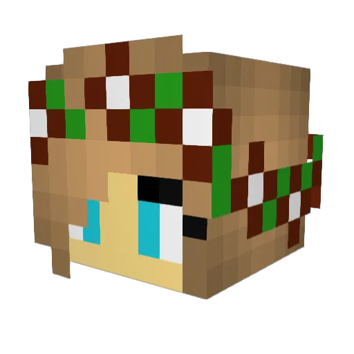 rianoa Minecraft avatar head, 3D render