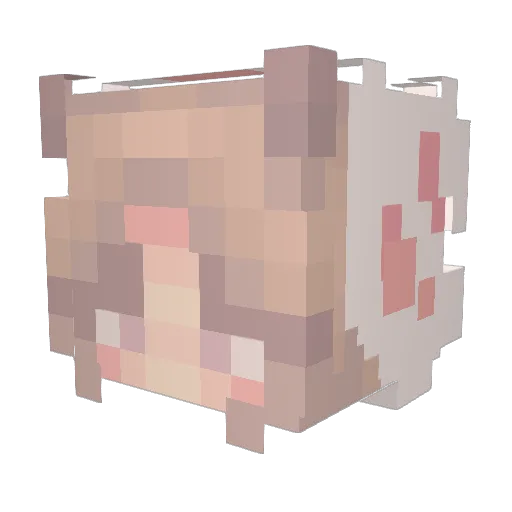 rianoel Minecraft avatar head, 3D render