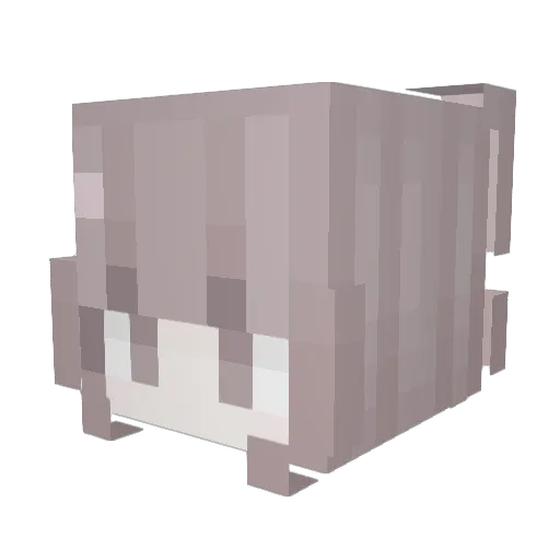 riarawr Minecraft avatar head, 3D render