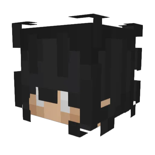 riasrr Minecraft avatar head, 3D render