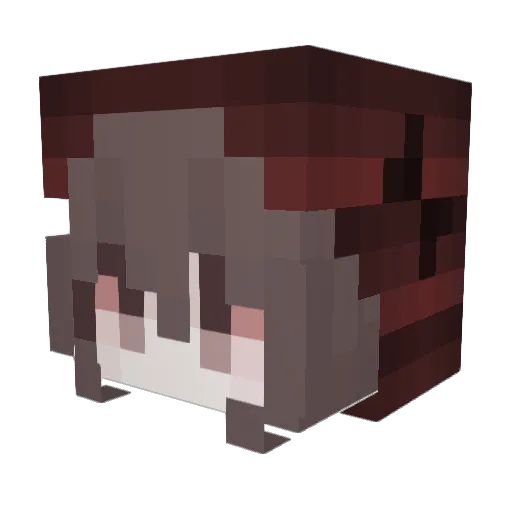 riawk7 Minecraft avatar head, 3D render