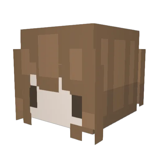 ribbetopia Minecraft avatar head, 3D render