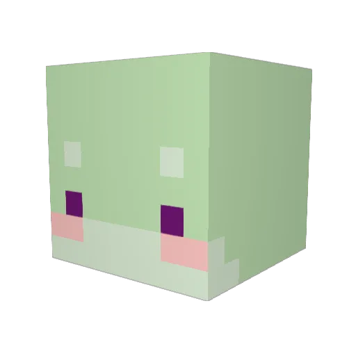 ribbit_duvet Minecraft avatar head, 3D render