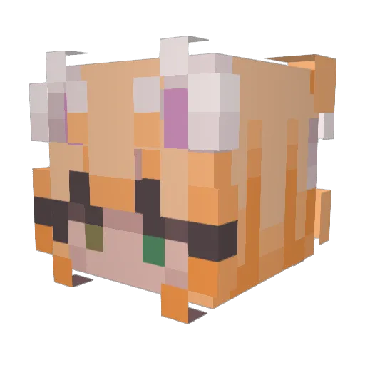 ric112 Minecraft avatar head, 3D render