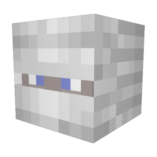 ric211 Minecraft avatar head, 3D render