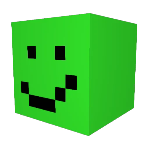 ric3farmer12 Minecraft avatar head, 3D render