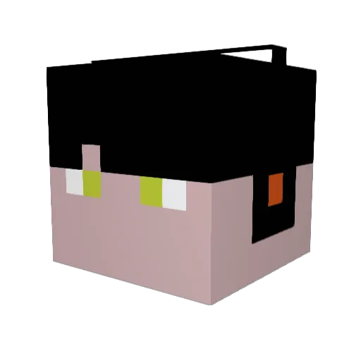 rice32601 Minecraft avatar head, 3D render