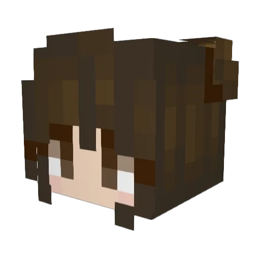 riceb4lls Minecraft avatar head, 3D render