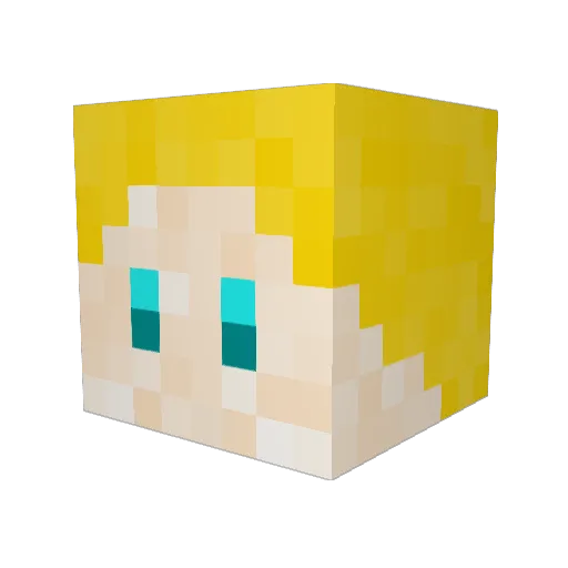 riceball5427 Minecraft avatar head, 3D render