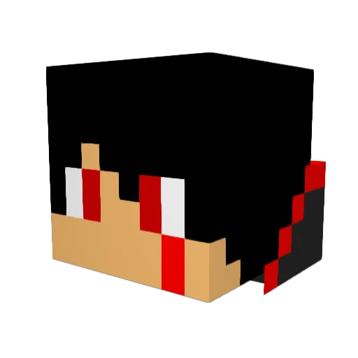 ricecroquette Minecraft avatar head, 3D render