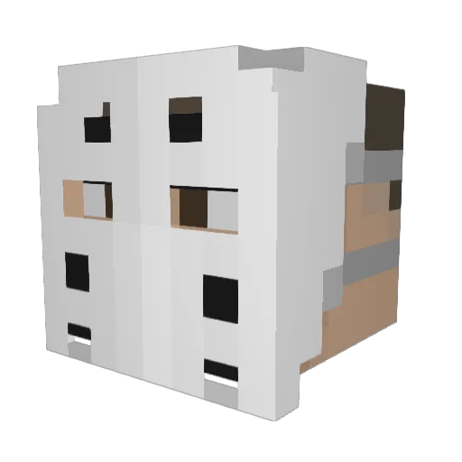 ricefield_man Minecraft avatar head, 3D render