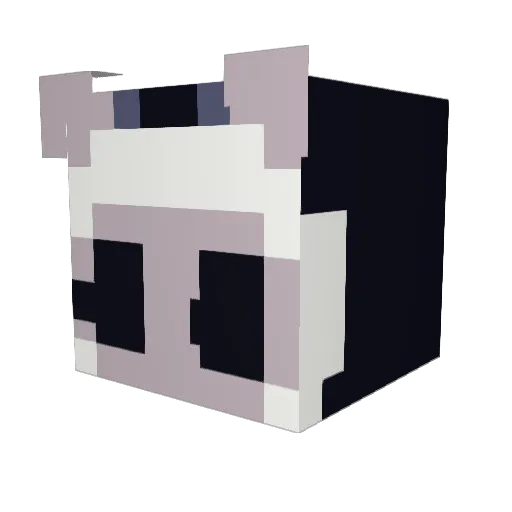 riceinyoursink Minecraft avatar head, 3D render