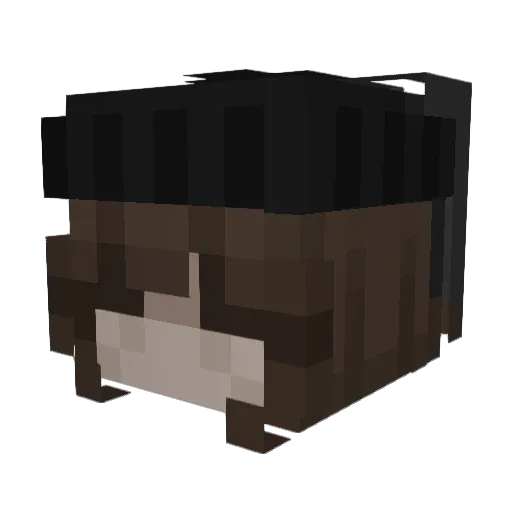 riceishere12 Minecraft avatar head, 3D render