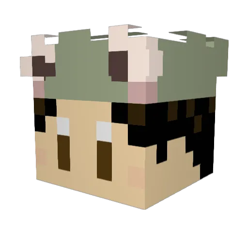 ricepatch Minecraft avatar head, 3D render