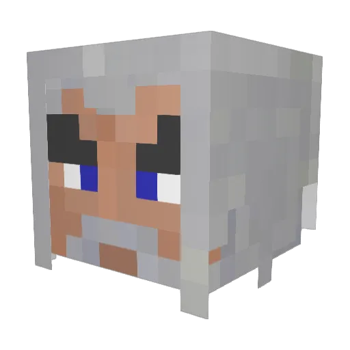 ricetrooper Minecraft avatar head, 3D render