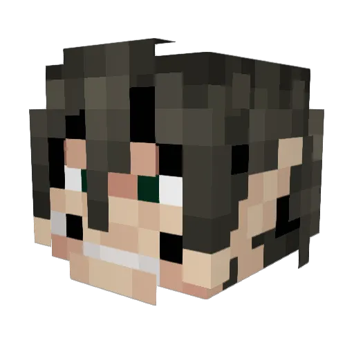 ricexdxdxd Minecraft avatar head, 3D render
