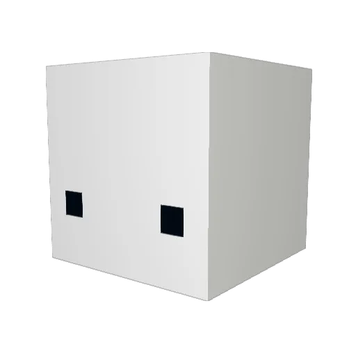 ricey1313 Minecraft avatar head, 3D render