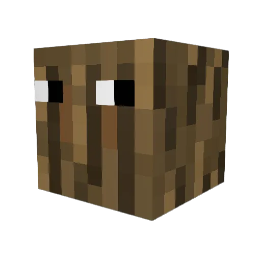 richarbb1 Minecraft avatar head, 3D render