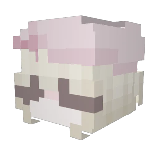 richb3y Minecraft avatar head, 3D render