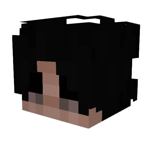 richfreak Minecraft avatar head, 3D render