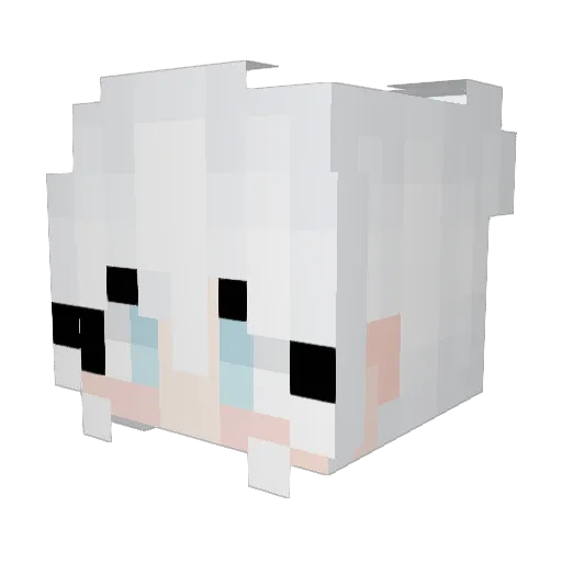richfruit_3333 Minecraft avatar head, 3D render