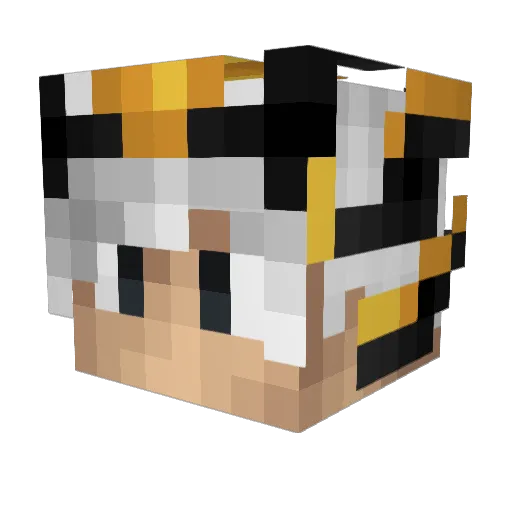 richstate Minecraft avatar head, 3D render